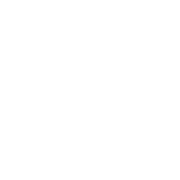 AI Project Mentorship