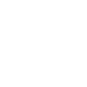 On-the-Job Training (OJT)